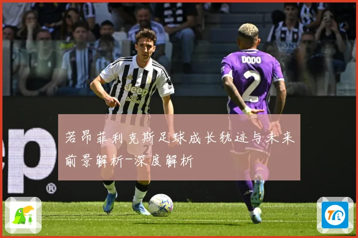 若昂菲利克斯足球成长轨迹与未来前景解析-深度解析