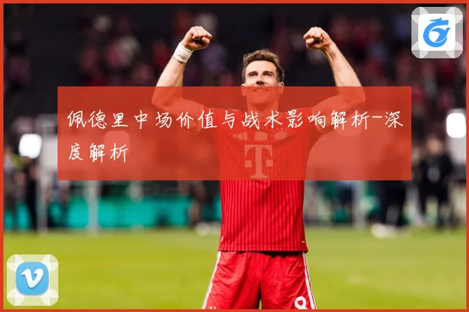 佩德里中场价值与战术影响解析-深度解析